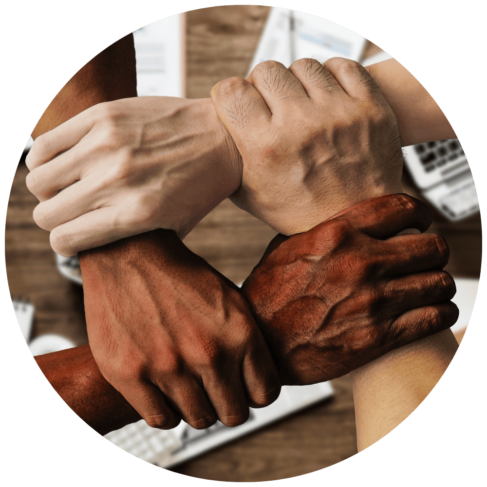 why choose plm afrika (1)